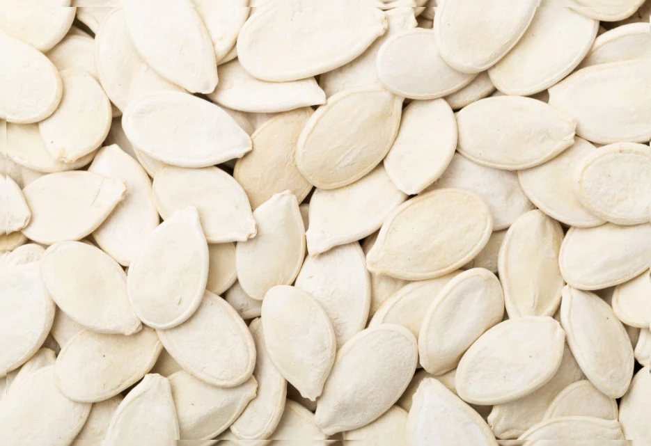 veganprotein-pumpkin
